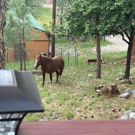 Gonzales Cozy Little Bear Cabin Ruidoso Bagian luar foto