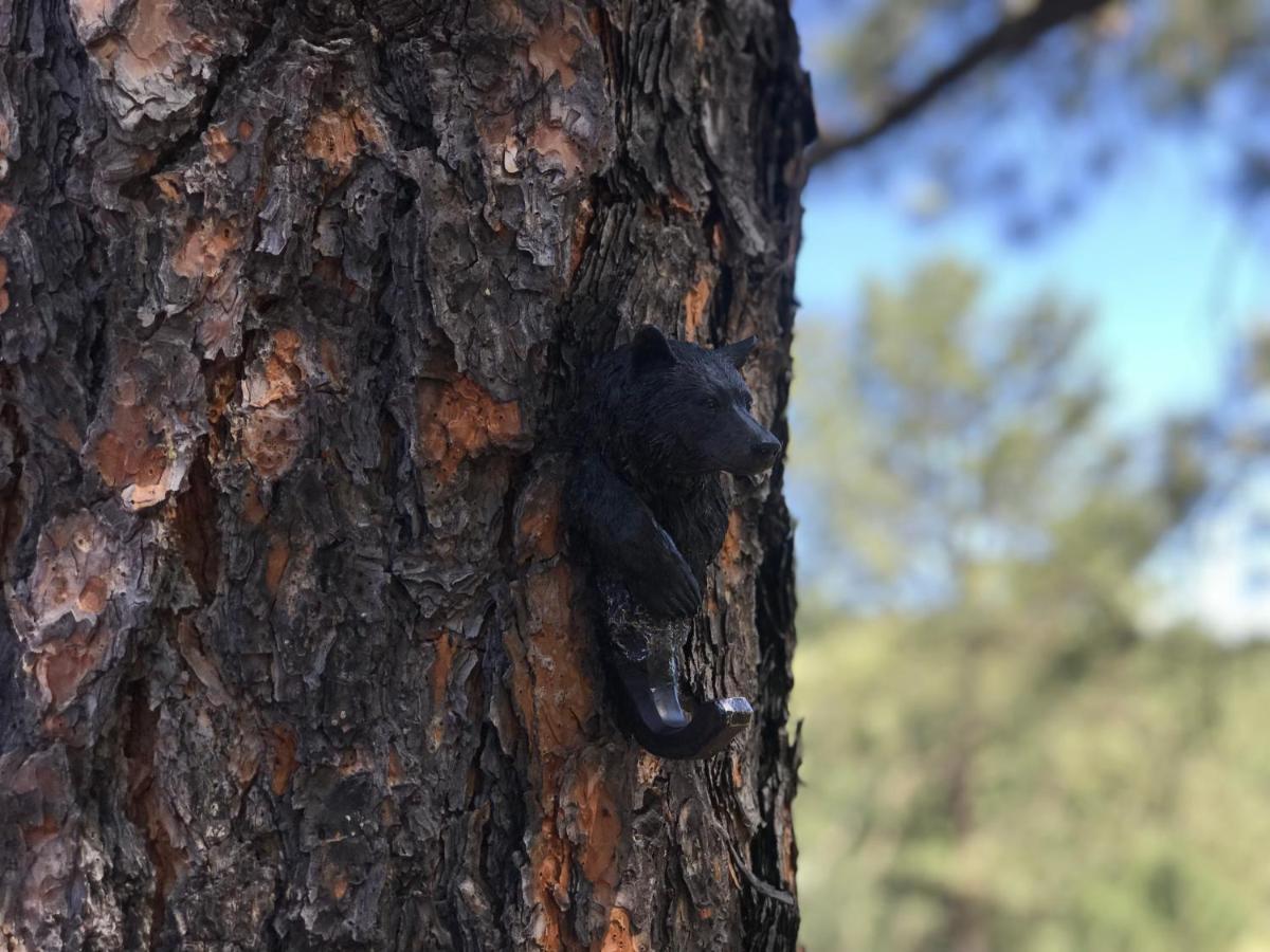 Gonzales Cozy Little Bear Cabin Ruidoso Bagian luar foto